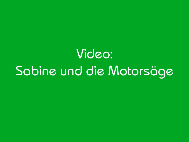 Motorsäge